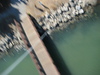 A blurry shot of the fishing pier which is interesting because it is the only shot where the tether line is clearly visible.