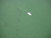 A sailboat near the old piers.