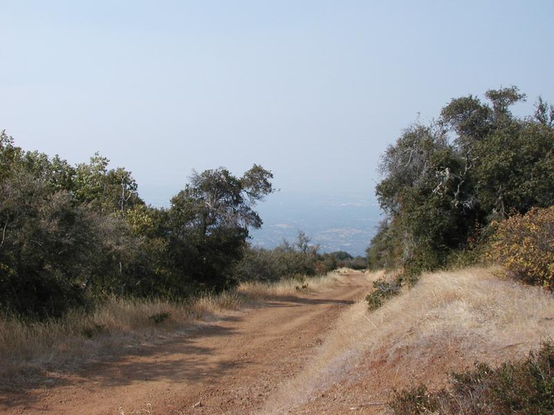 The view back down the trail from our resting point