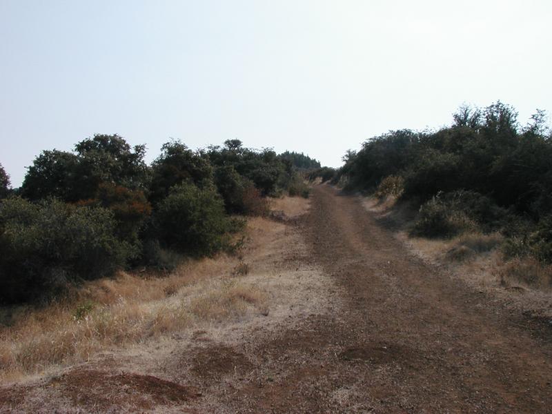 The view up towards the summit from our resting point