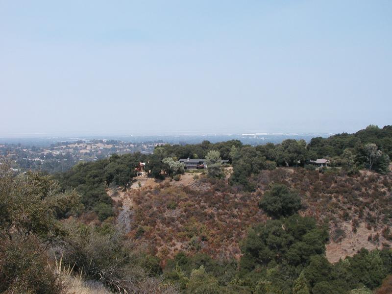 A view from about 1/4 mile up the Rhus Ridge trail