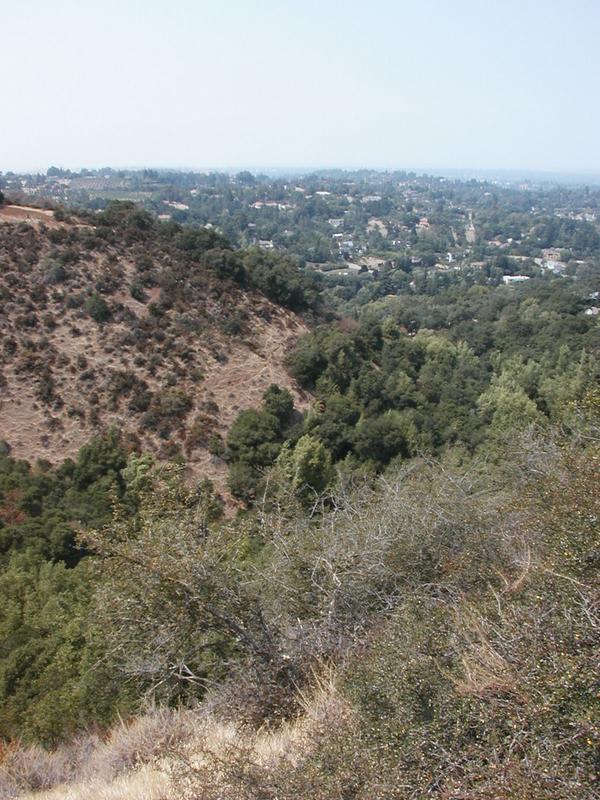 A view of the Bay Area from a vista point about 1/2 mile up