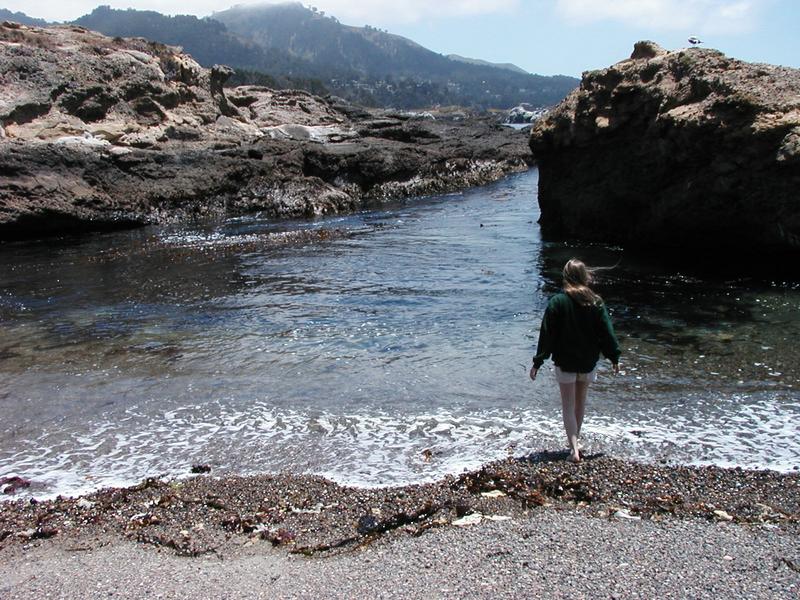 A gravelly Point Lobos beach