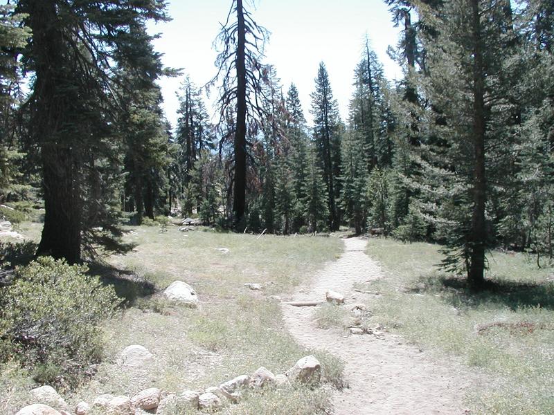 The first part of our hike looked mostly like this, sandy trails in the open