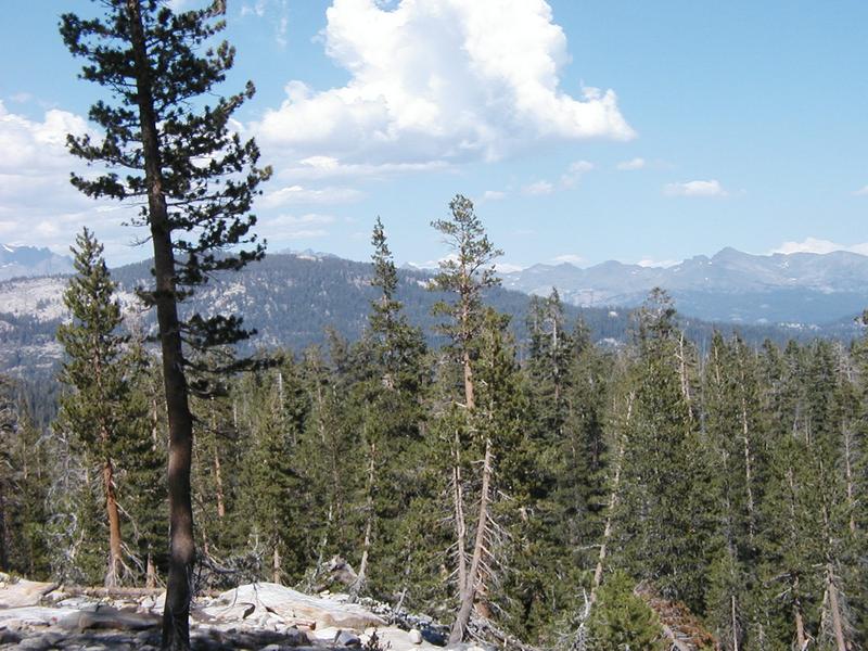 A beautiful view towards the east where you can see the Sierras