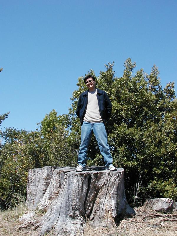 Simon stands on a giant tree stump