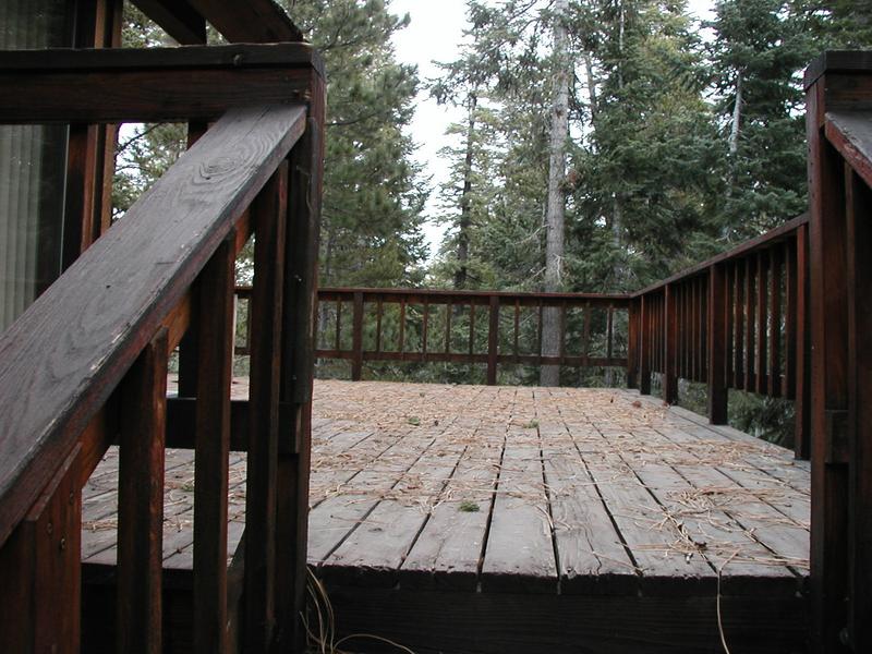 The deck, strewn with tree litter