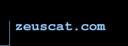 zeuscat.com