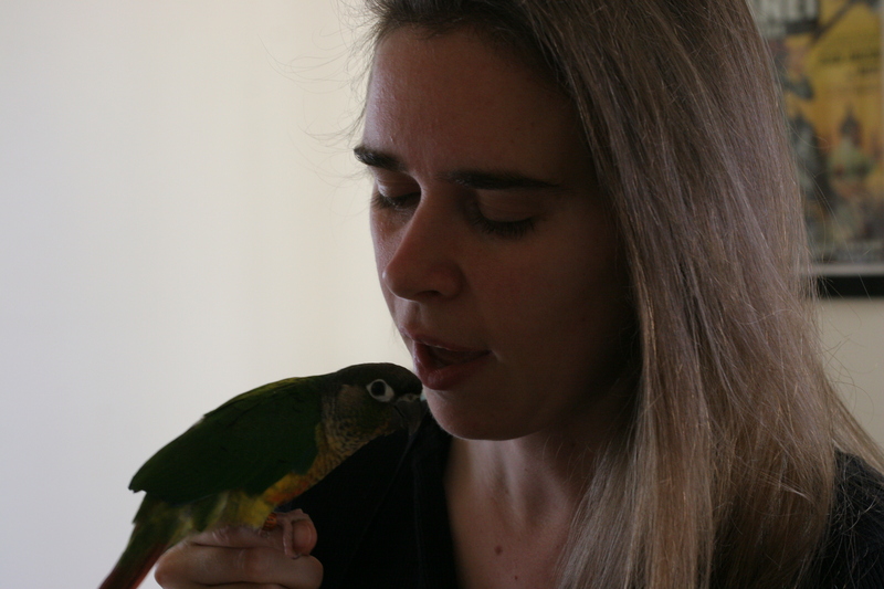 Holly about to eat the parrot